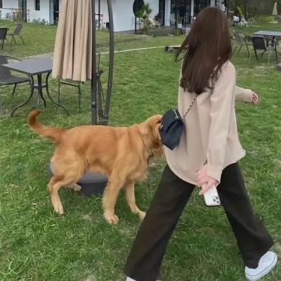 杰克逊
